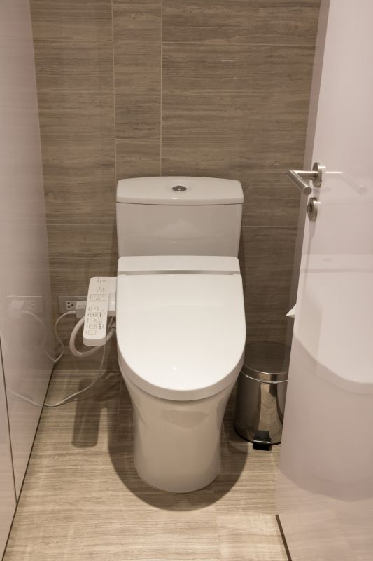 Smart Bidet
