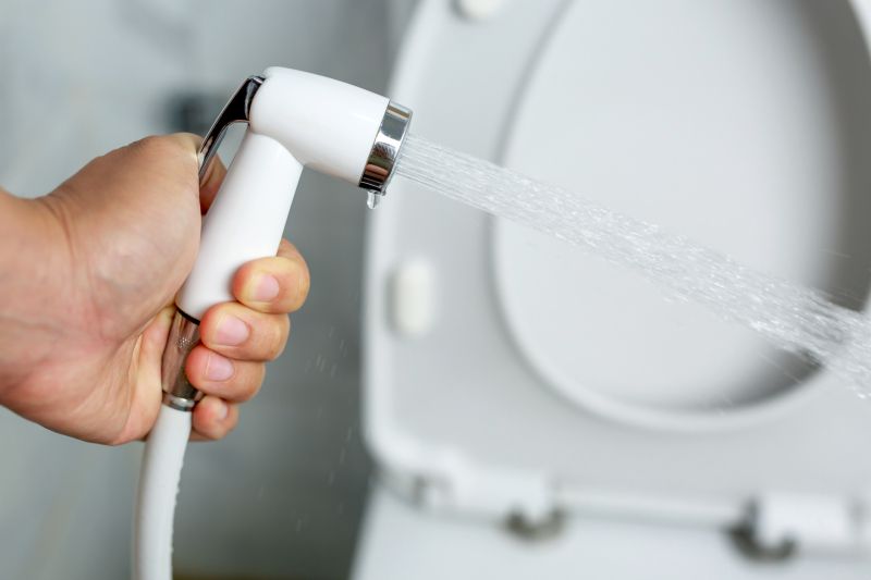 Cost of Bidet Installation — Cost of Bidet Installation