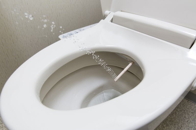 Products For Bidet Installations in use